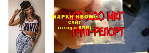 мдпв Богородицк