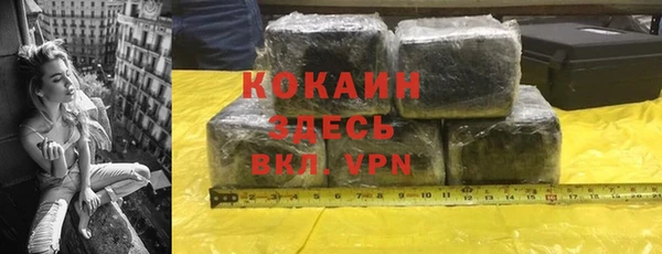мдпв Богородицк