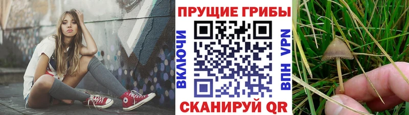 Галлюциногенные грибы мухоморы  Комсомольск-на-Амуре 